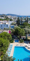 Moonshine Hotel & Suites