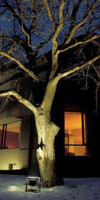 Mountview Lodge