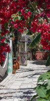 Natural Mystic Hostel