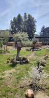 O SOLE MIO POMPEI