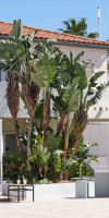 Oassium Hotel at Estival Park