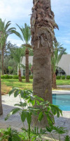 Occidental Sousse Marhaba Hotel