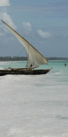 Ocean Paradise Resort & spa