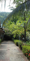 Ocean View Resort