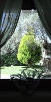 Olivastro Villa