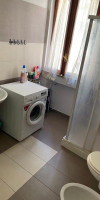 Olive Tree - Hostel