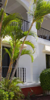 ONA HOLLYWOOD MIRAGE