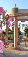 Orpheas Resort