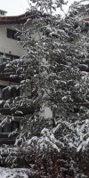 ORPHEY HOTEL BANSKO