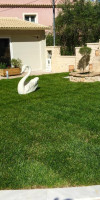 Palapart Gikas Suites and Studios