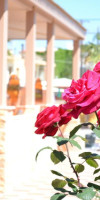 Palladion Hotel