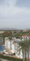 Palm Garden Apartments