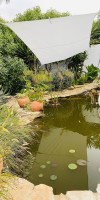 Palm View Guesthouse-Adults only