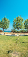 Coral Beach Complex