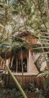 Papaya Playa Project