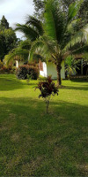 Phanom Bencha Mountain Resort