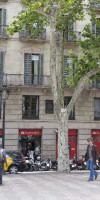 Pillow Ramblas