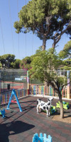 PINE BEACH BELEK(EX MARITIM PINE BEACH)
