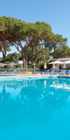 Pinhal da Marina
