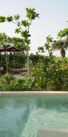Delano Dubai