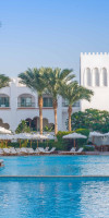 Baron Palms