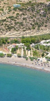 Avra Palm