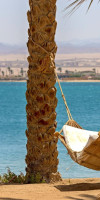 Palm Royale Soma Bay
