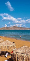 Creta Palm