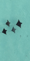 Constance Moofushi Maldives