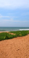 Temple Tree Resort & Spa