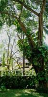 Plaza Beach Hotel