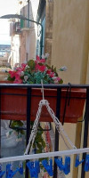 PORT VILLAGE VESUVIUS