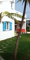 Pura Vida Divehouse