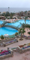 QUEEN SHARM