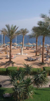 QUEEN SHARM