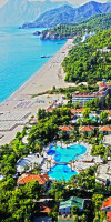 RAI PREMIUM TEKIROVA