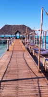 Reef and Beach Zanzibar (Jambiani)