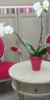 RELAIS SAINT JACQUES