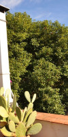 RESIDENZA LE ROSE VILLA D'ARTE