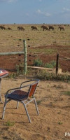Jacaranda Beach Resort and Safari Tsavo Explorer RO