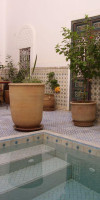 Riad Ifoulki