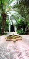 Riad Ifoulki