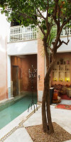 Riad Moullaoud