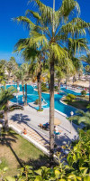 RIADH PALMS