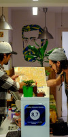 Rocket Hostels Gracia