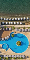 Royal Apollonia by Louis