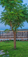 Four Season Sharm