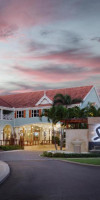 Sandals Ochi