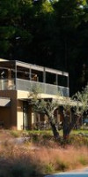 SANI VERDE