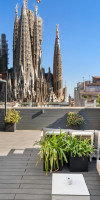 Sensation Sagrada Familia